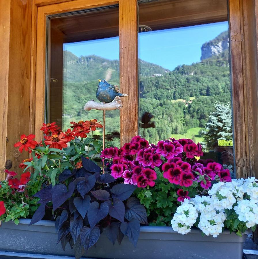 Appartement Aareschlucht- Grandiose Aussicht Fuer 2-6 Pers. Meiringen Exterior foto